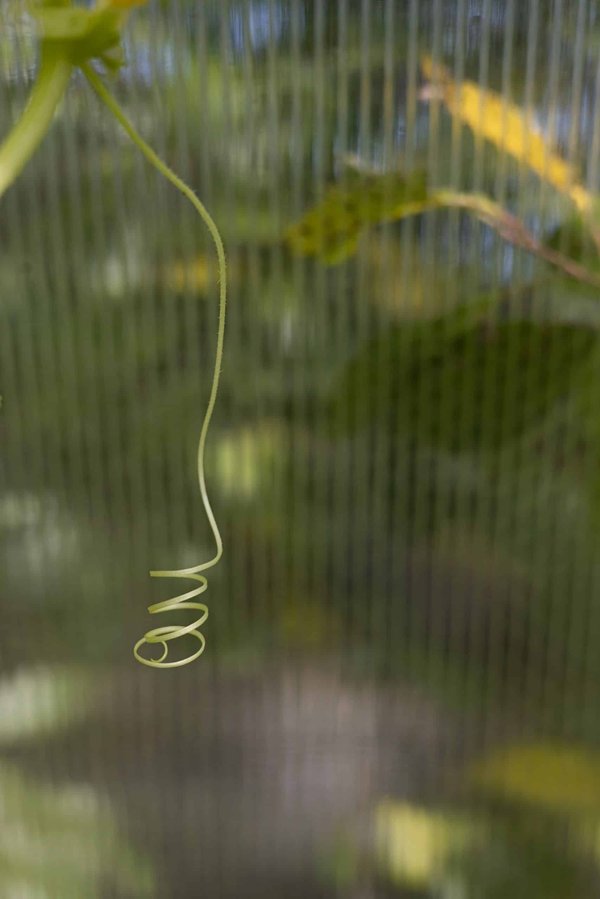 How to Analyze and Adjust Real Estate Development Plans Based on Community Impact Studies?